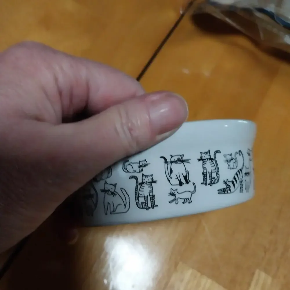 Whimsical Cat Dish